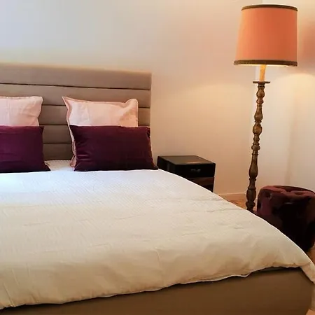 Charming And Stylish Downtown In Xix Century Building Appartement